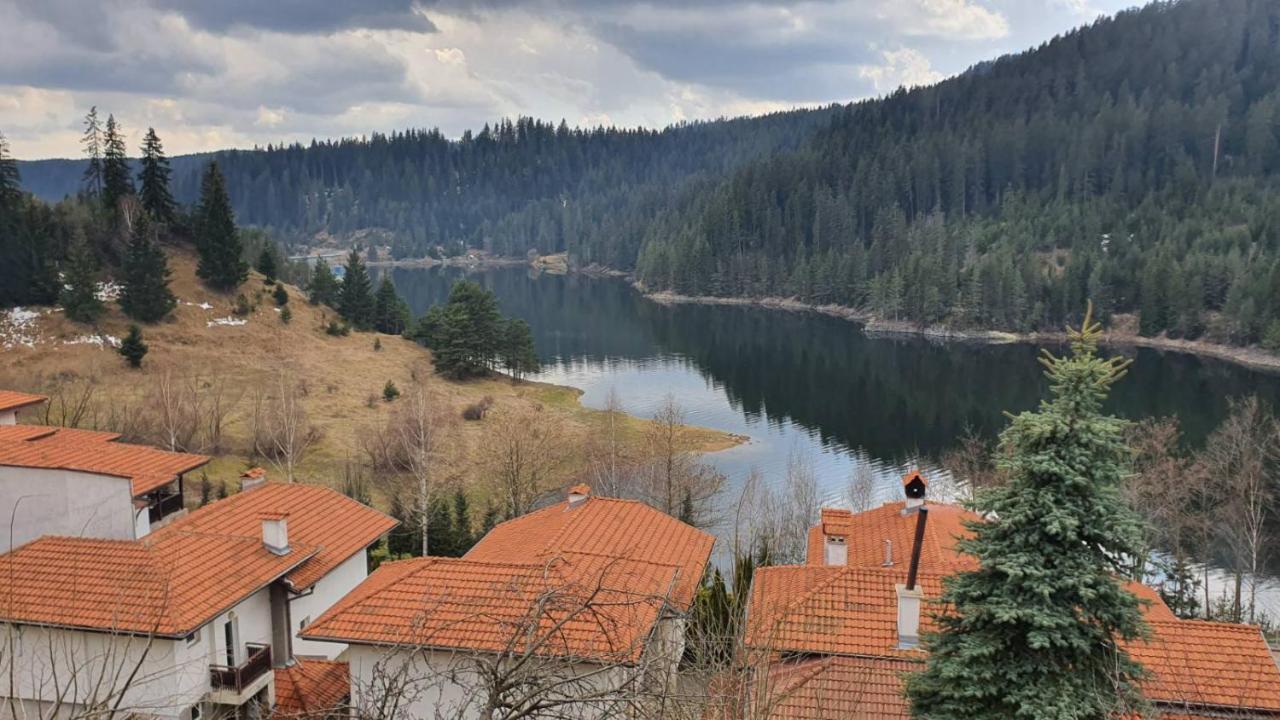 Вила Родопи Dospat Exterior foto